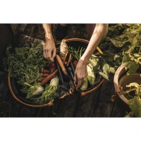 www.dom-ogrod-hobby.pl FISKARS Koszyk do zbiorów owoców i warzyw  (3).jpg