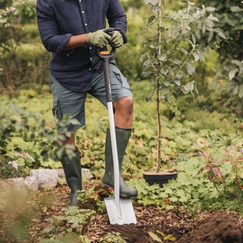 894bcdc82f66e25a692a242dda6e0af0