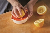 1016125_FF_fruit_juicer_action_01.jpg