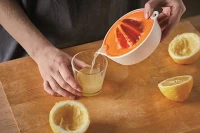 1016125_FF_fruit_juicer_action_03.jpg
