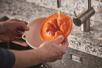 1016125_FF_fruit_juicer_action_cleaning.jpg