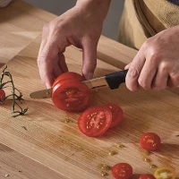 1054947 Hard Edge Tomato knife Knife + tomato 1x1.jpg