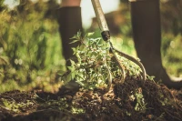 Fiskars_Gardening_Action_Xact_Cultivator_1027040_m.jpg
