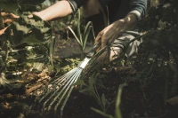 Fiskars_Gardening_Action_Xact_Hand_rake_1027044_m.jpg