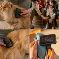 73ccfc9174da2ed1cb38284325c9d1e1