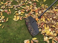 135013-LeafRakeLarge_2.jpg